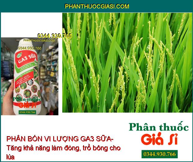 PHÂN BÓN VI LƯỢNG GA3 SỮA