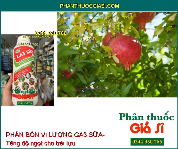 PHÂN BÓN VI LƯỢNG GA3 SỮA