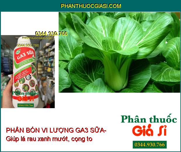 PHÂN BÓN VI LƯỢNG GA3 SỮA