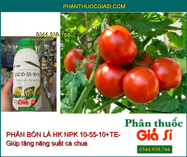 PHÂN BÓN LÁ HK NPK 10-55-10+TE