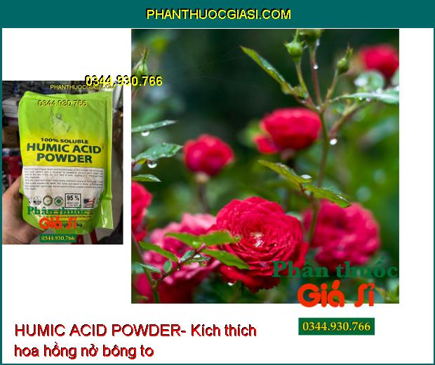 HUMIC ACID POWDER