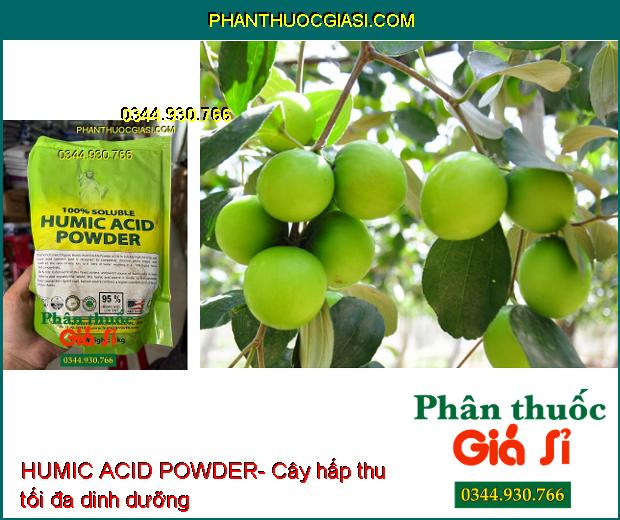 HUMIC ACID POWDER