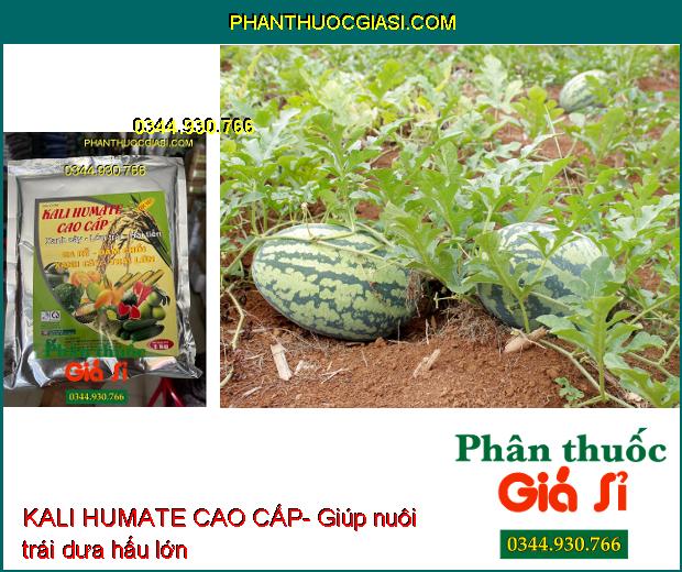 KALI HUMATE CAO CẤP- Ra Rễ- Đâm Chồi- Xanh Cây- Lớn Trái