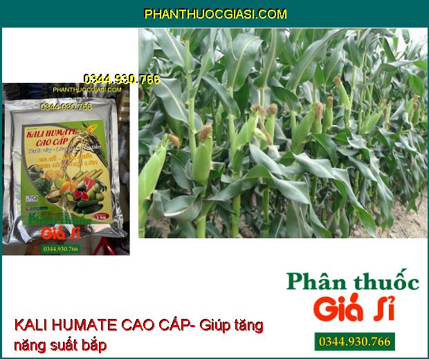 KALI HUMATE CAO CẤP- Ra Rễ- Đâm Chồi- Xanh Cây- Lớn Trái