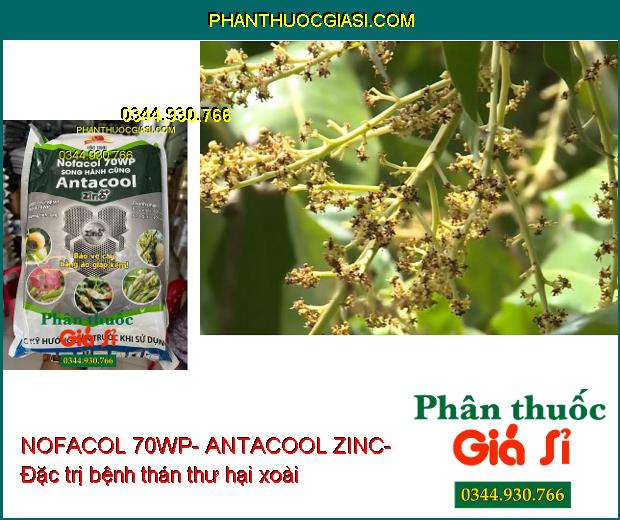 NOFACOL 70WP- ANTACOOL ZINC