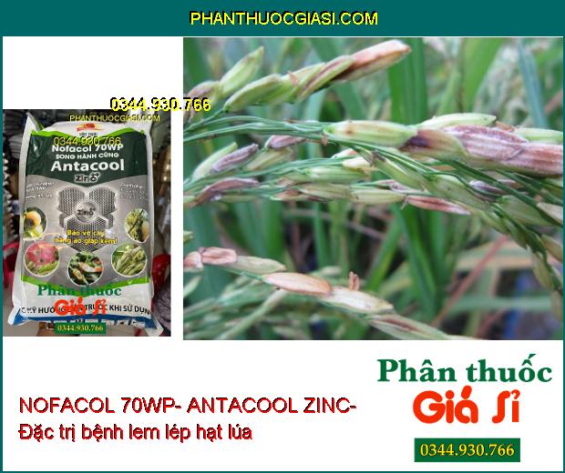 NOFACOL 70WP- ANTACOOL ZINC