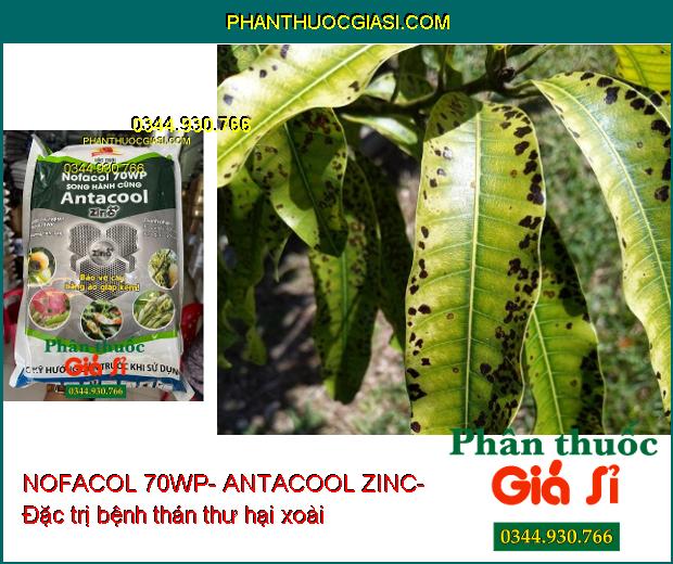 NOFACOL 70WP- ANTACOOL ZINC