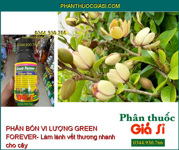 PHÂN BÓN VI LƯỢNG GREEN FOREVER