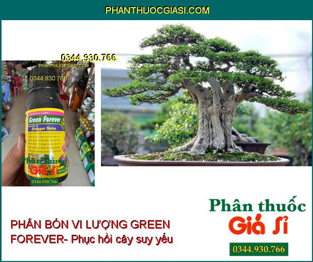 PHÂN BÓN VI LƯỢNG GREEN FOREVER