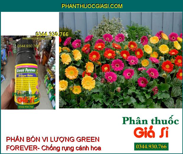 PHÂN BÓN VI LƯỢNG GREEN FOREVER