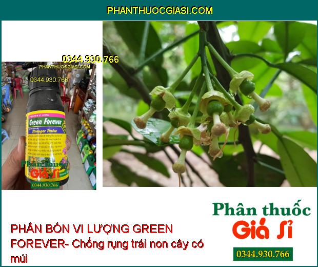 PHÂN BÓN VI LƯỢNG GREEN FOREVER