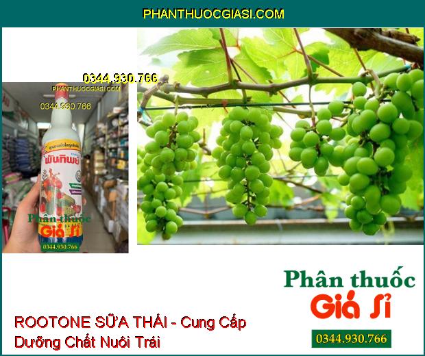 ROOTONE SỮA THÁI - Điều Hòa Sinh Trưởng Cho Cây Trồng- Bổ Sung Vi Lượng