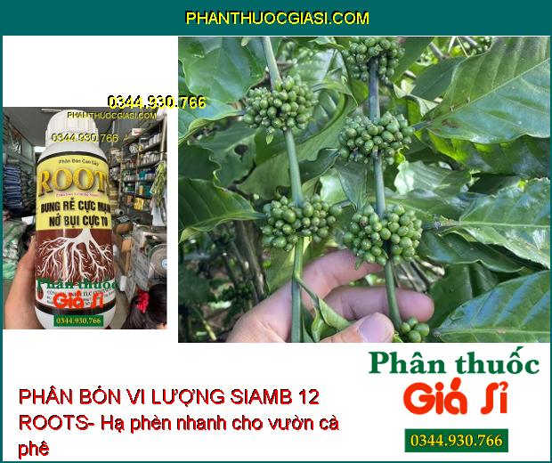 PHÂN BÓN VI LƯỢNG SIAMB 12 ROOTS