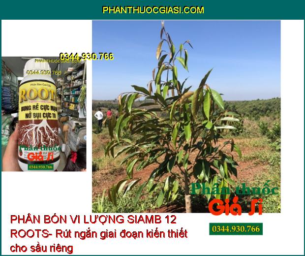 PHÂN BÓN VI LƯỢNG SIAMB 12 ROOTS