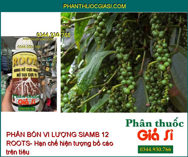 PHÂN BÓN VI LƯỢNG SIAMB 12 ROOTS