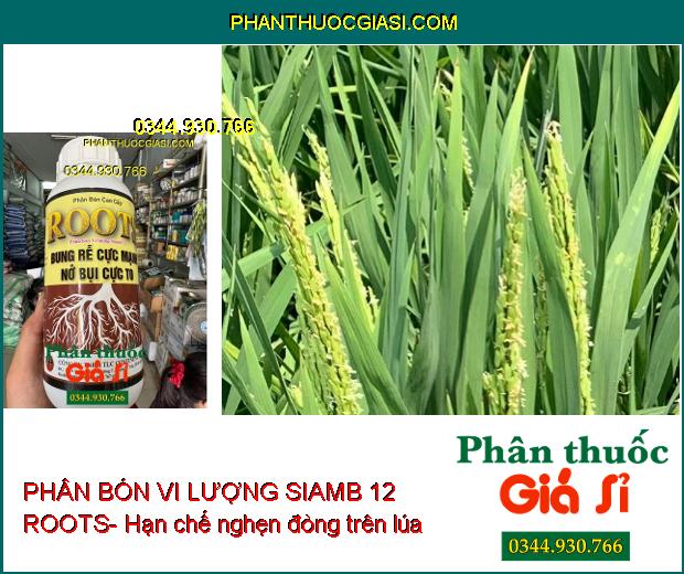 PHÂN BÓN VI LƯỢNG SIAMB 12 ROOTS