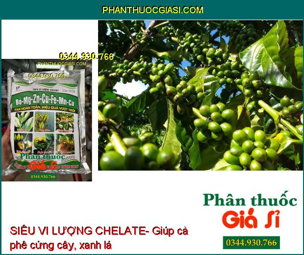 SIÊU VI LƯỢNG CHELATE