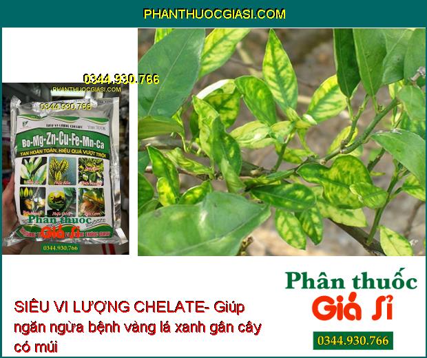 SIÊU VI LƯỢNG CHELATE