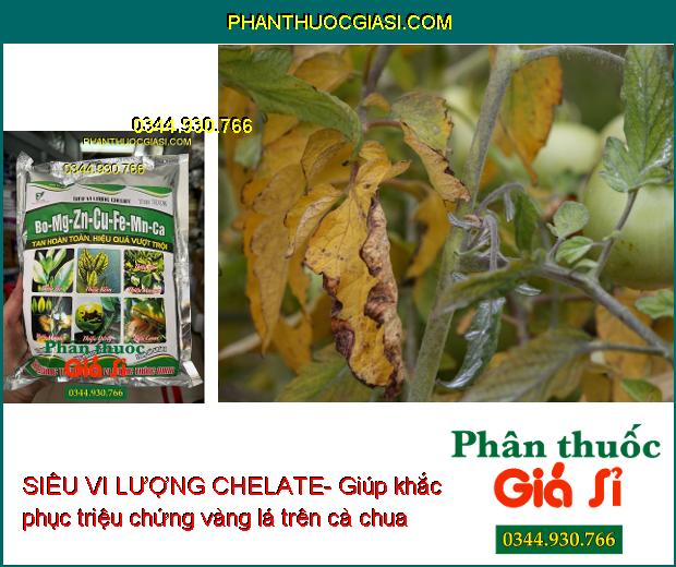 SIÊU VI LƯỢNG CHELATE