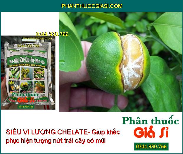 SIÊU VI LƯỢNG CHELATE