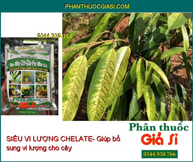 SIÊU VI LƯỢNG CHELATE