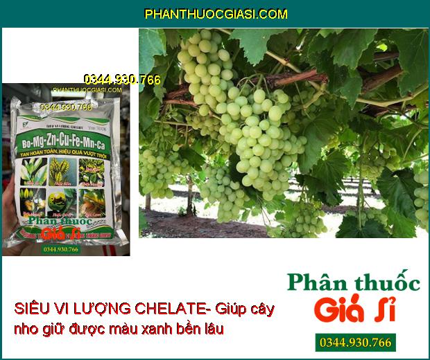 SIÊU VI LƯỢNG CHELATE