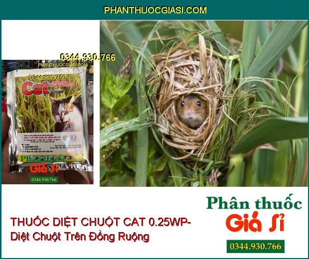 THUỐC DIỆT CHUỘT CAT 0.25WP- Diệt Chuột Trên Đồng Ruộng