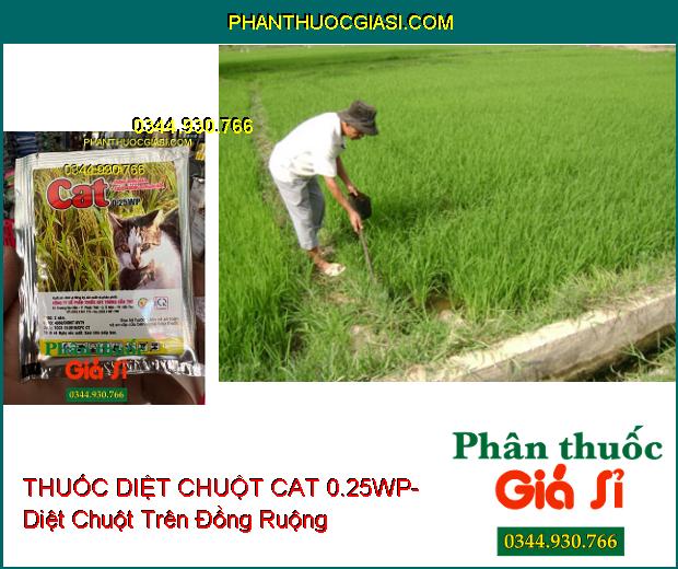 THUỐC DIỆT CHUỘT CAT 0.25WP- Diệt Chuột Trên Đồng Ruộng