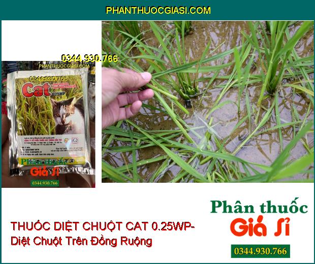 THUỐC DIỆT CHUỘT CAT 0.25WP- Diệt Chuột Trên Đồng Ruộng