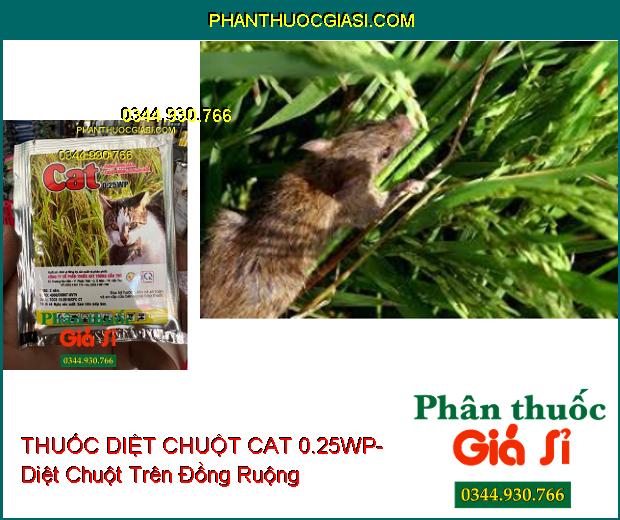 THUỐC DIỆT CHUỘT CAT 0.25WP- Diệt Chuột Trên Đồng Ruộng