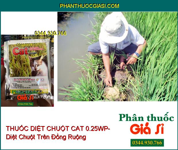 THUỐC DIỆT CHUỘT CAT 0.25WP- Diệt Chuột Trên Đồng Ruộng