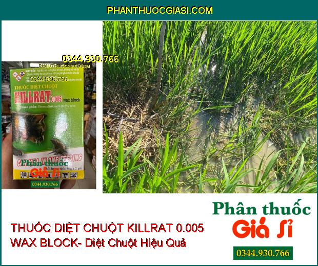 THUỐC DIỆT CHUỘT KILLRAT 0.005 WAX BLOCK- Diệt Chuột Hiệu Quả