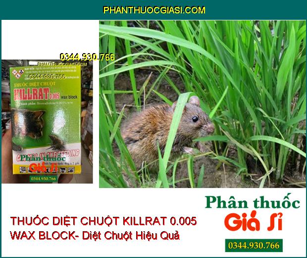 THUỐC DIỆT CHUỘT KILLRAT 0.005 WAX BLOCK- Diệt Chuột Hiệu Quả