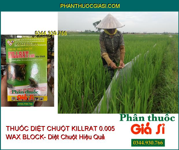 THUỐC DIỆT CHUỘT KILLRAT 0.005 WAX BLOCK- Diệt Chuột Hiệu Quả