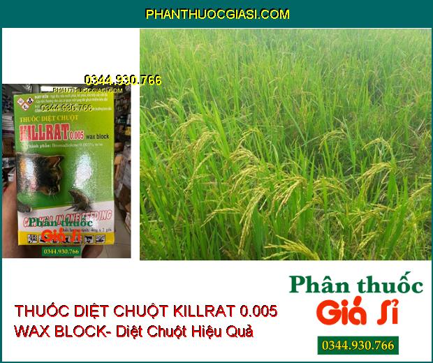 THUỐC DIỆT CHUỘT KILLRAT 0.005 WAX BLOCK- Diệt Chuột Hiệu Quả