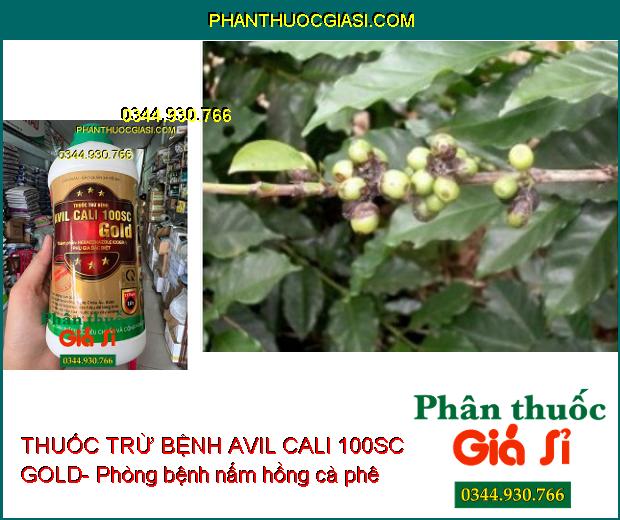 THUỐC TRỪ BỆNH AVIL CALI 100SC GOLD