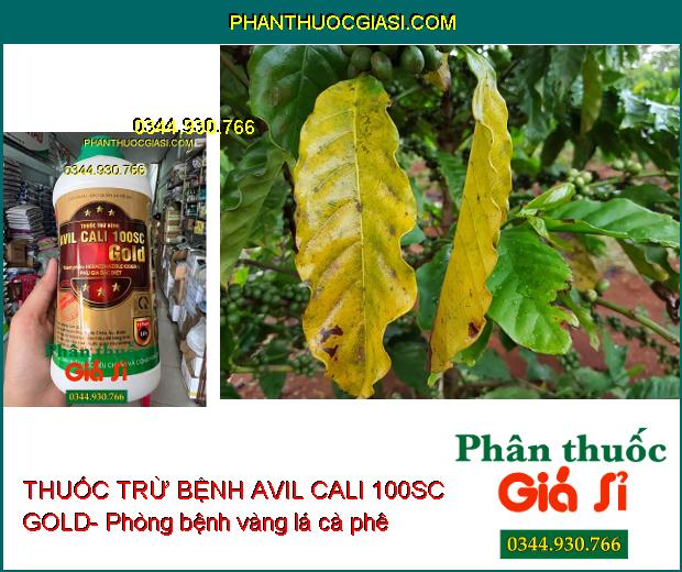 THUỐC TRỪ BỆNH AVIL CALI 100SC GOLD