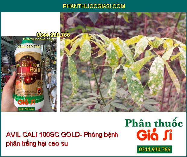 THUỐC TRỪ BỆNH AVIL CALI 100SC GOLD