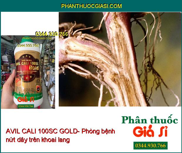 THUỐC TRỪ BỆNH AVIL CALI 100SC GOLD