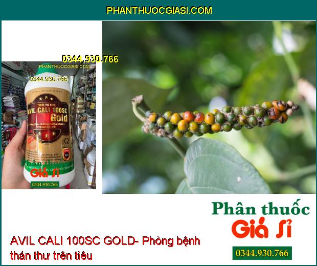 THUỐC TRỪ BỆNH AVIL CALI 100SC GOLD