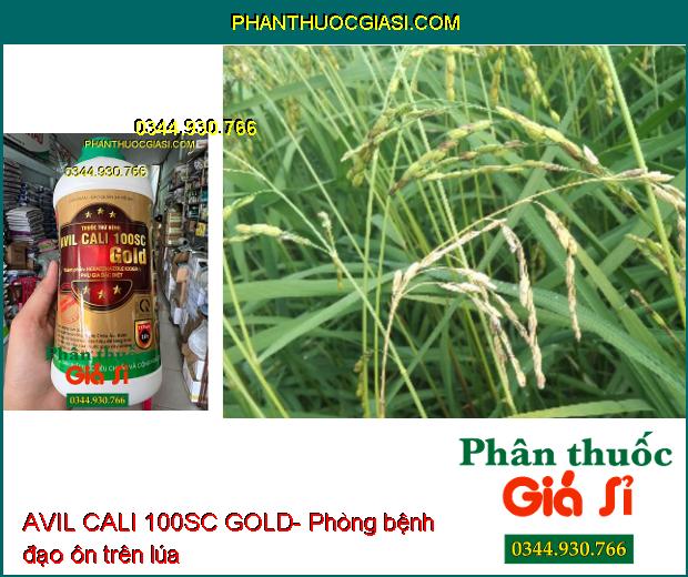 THUỐC TRỪ BỆNH AVIL CALI 100SC GOLD