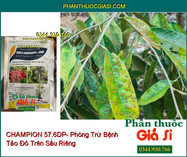 CHAMPION 57.6DP- Phòng Trừ Hiệu Quả Bệnh Tảo Đỏ Và Rụng Quả Cà Phê