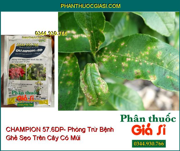 CHAMPION 57.6DP- Phòng Trừ Hiệu Quả Bệnh Tảo Đỏ Và Rụng Quả Cà Phê