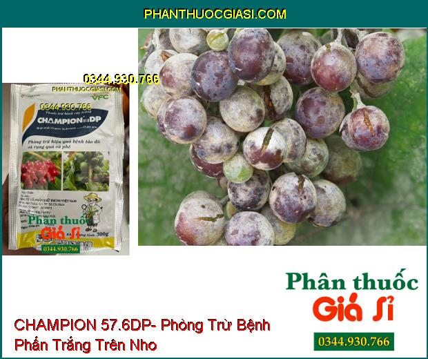 CHAMPION 57.6DP- Phòng Trừ Hiệu Quả Bệnh Tảo Đỏ Và Rụng Quả Cà Phê