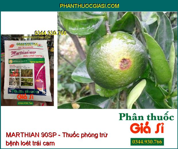 THUỐC TRỪ BỆNH MARTHIAN 90SP - Thuốc Đặc Trị Vi Khuẩn Cây Trồng