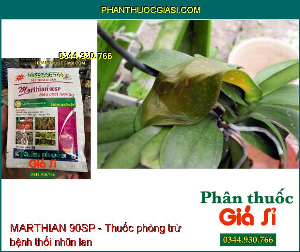 THUỐC TRỪ BỆNH MARTHIAN 90SP - Thuốc Đặc Trị Vi Khuẩn Cây Trồng