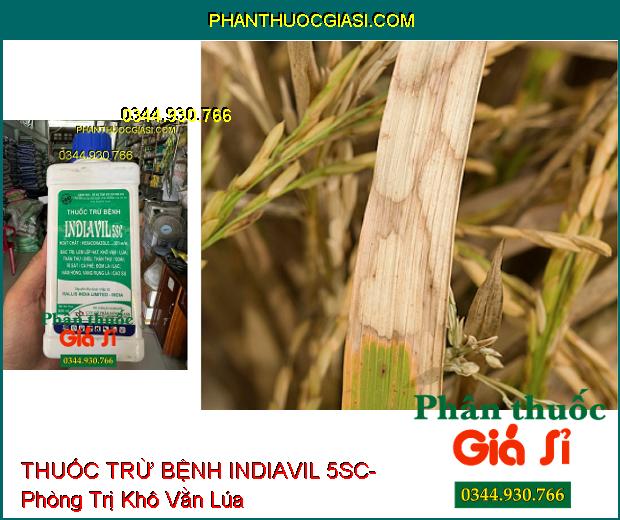 THUỐC TRỪ BỆNH INDIAVIL 5SC- Đặc Trị Lem Lép Hạt- Thán Thư- Rỉ Sắt