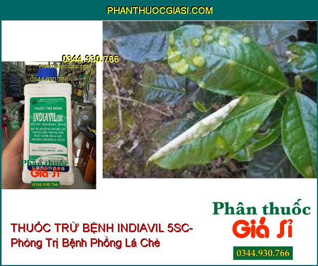 THUỐC TRỪ BỆNH INDIAVIL 5SC- Đặc Trị Lem Lép Hạt- Thán Thư- Rỉ Sắt