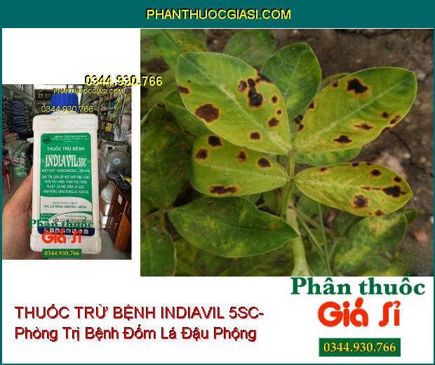 THUỐC TRỪ BỆNH INDIAVIL 5SC- Đặc Trị Lem Lép Hạt- Thán Thư- Rỉ Sắt