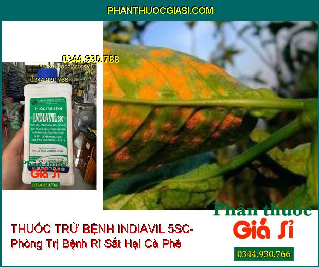 THUỐC TRỪ BỆNH INDIAVIL 5SC- Đặc Trị Lem Lép Hạt- Thán Thư- Rỉ Sắt